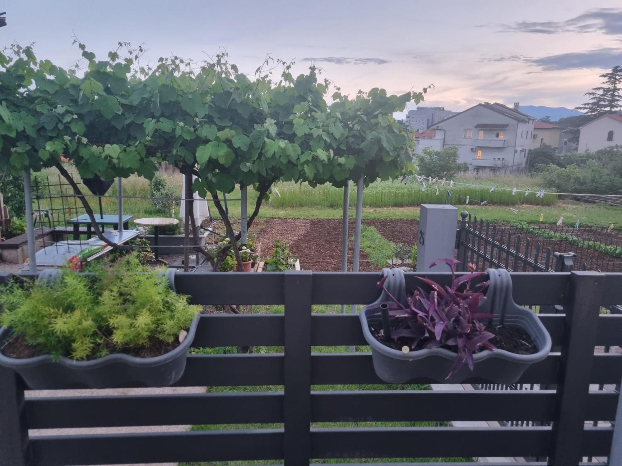 Apartman Dasa Rijeka Extérieur photo